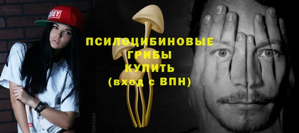 героин Алексин