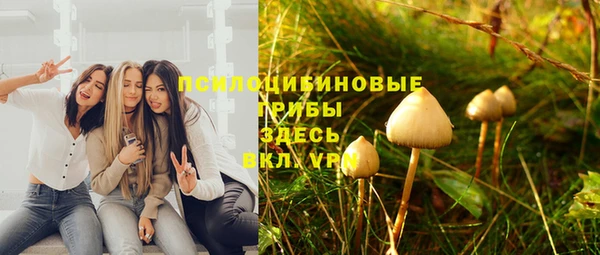 мяу мяу мука Алзамай