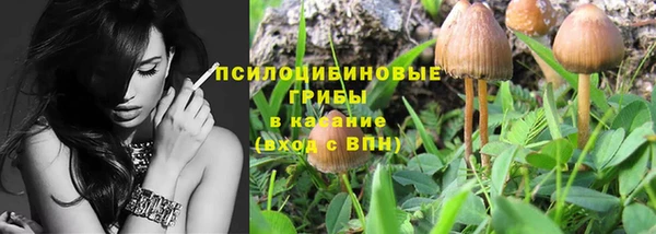 мяу мяу мука Алзамай